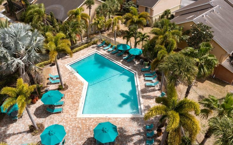 a pool surrounded by palm trees