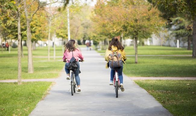 a group of people riding bikes on a path in a park