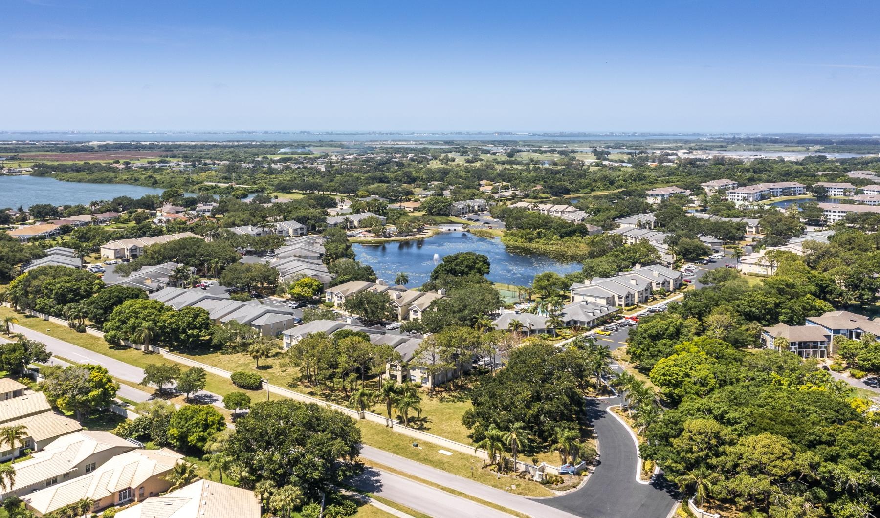 a town view with trees and water