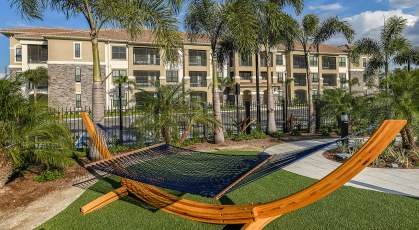 Social area with hammocks surrounded by palm trees