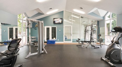 Fitness center with cardio machines and weights