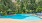 Sparkling blue pool surround by large shade trees and lounge chairs