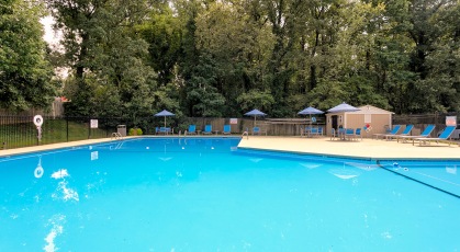 Sparkling swimming pool surrounded by lounge chairs