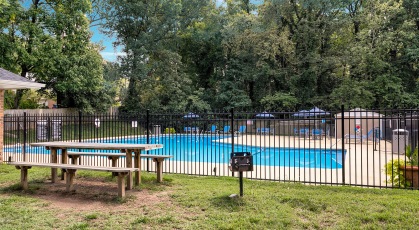 Picnic area and grills by the pool