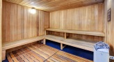Sauna with tiered benches