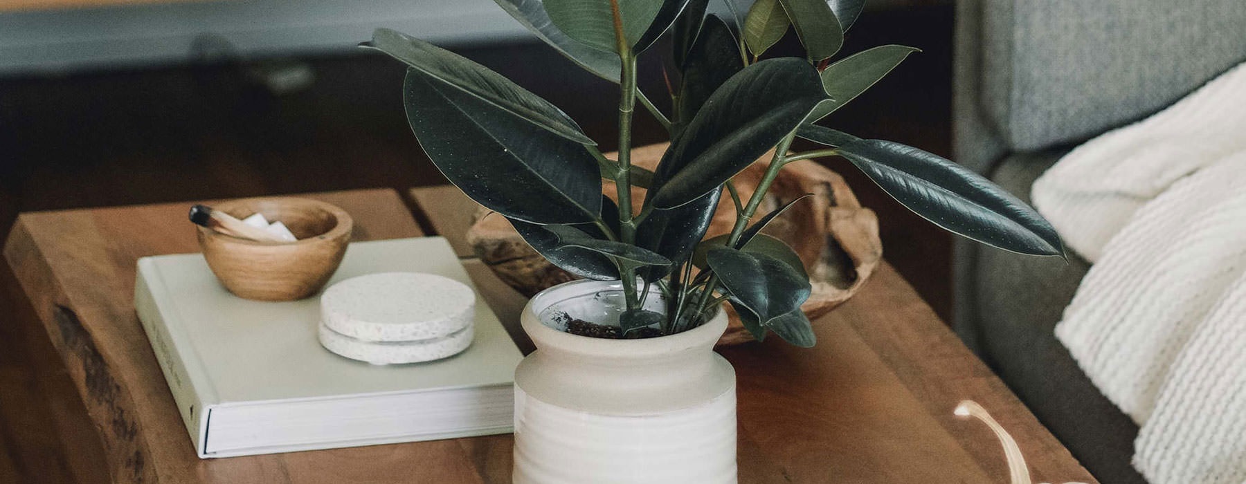 wooden coffee table with plants and candles
