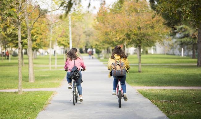 a group of people riding bikes on a path in a park