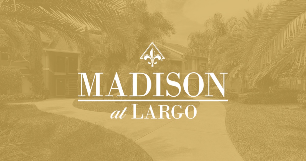 Apartments for rent in Largo, FL Madison at Largo