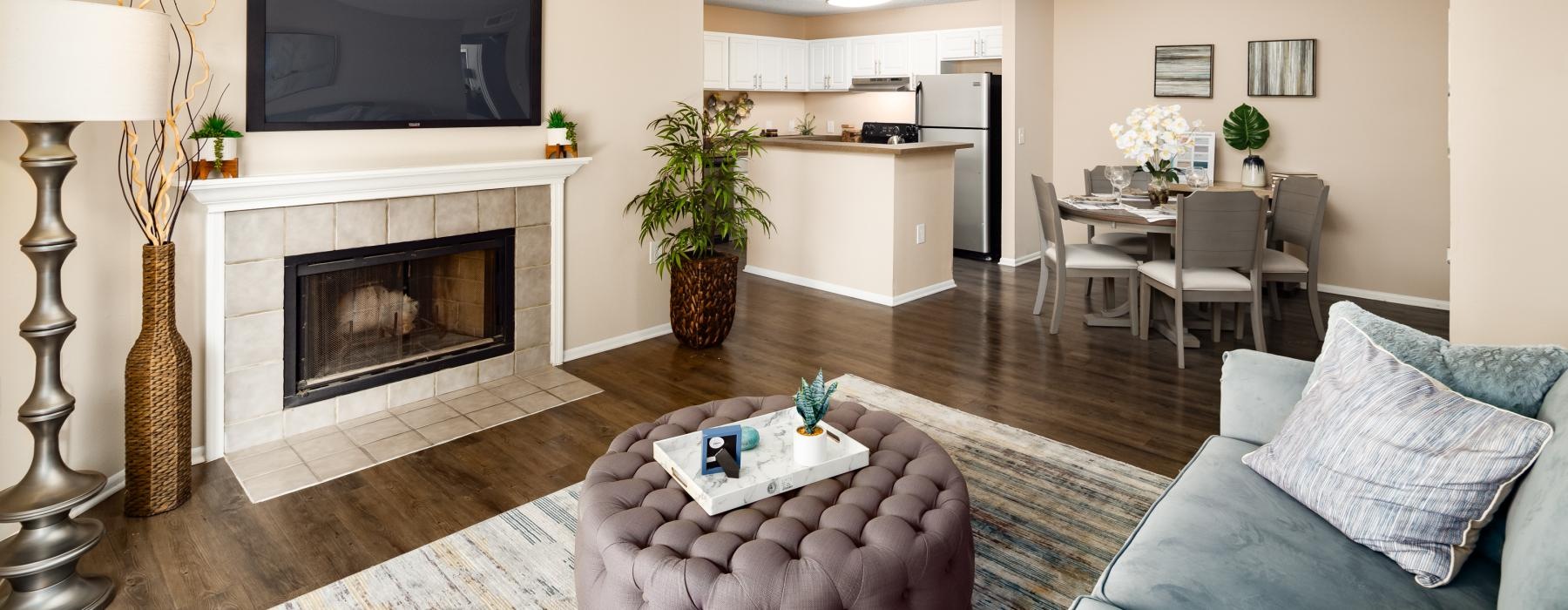 a living room with a fireplace a tv and a couch