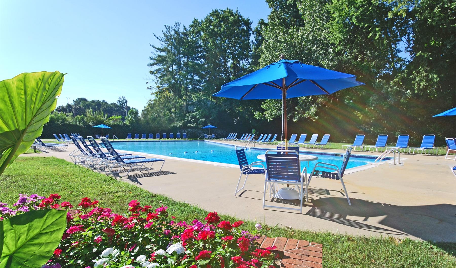 chairs and umbrellas by a pool