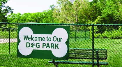 Fenced in bark park shaded by mature trees with bench seating