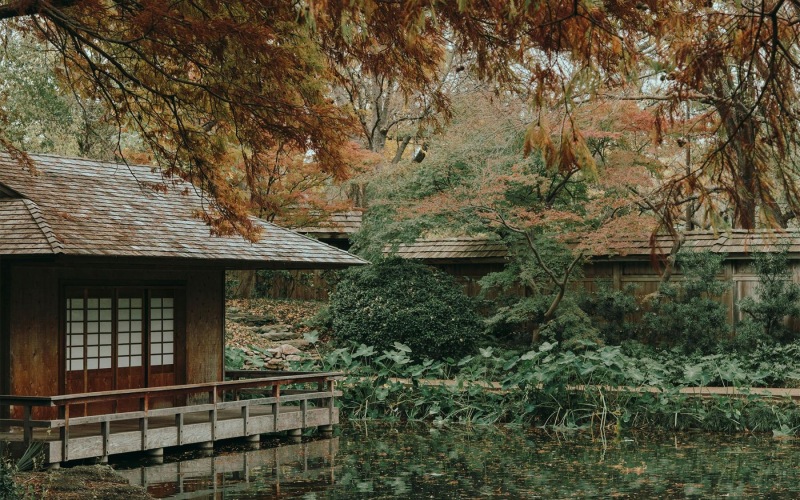 a house with a pond in front of it and trees around it at Japanese Garden