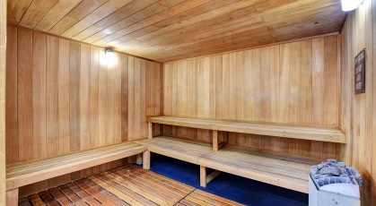 Sauna with tiered benches