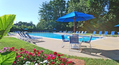 Swimming pool with lounge seating and umbrellas