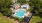aerial view of swimming pool 