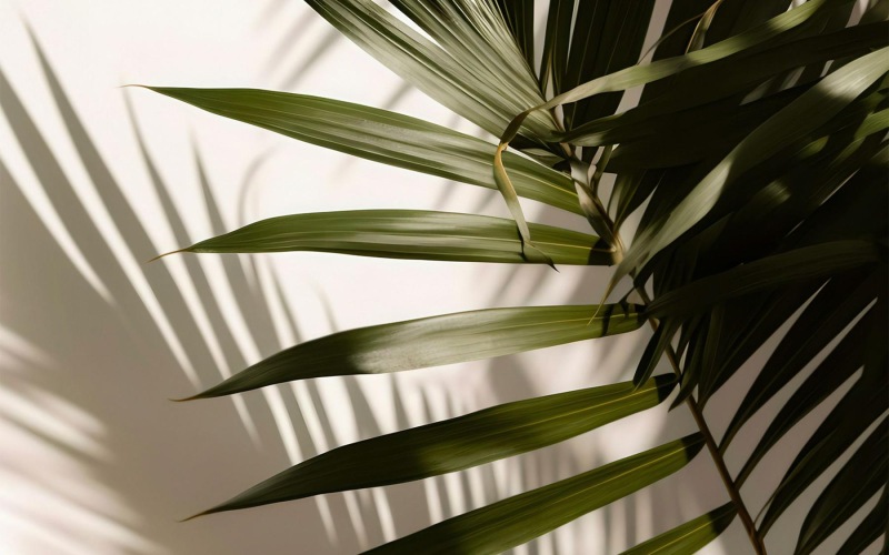 a close up of a plant