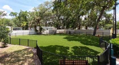Paw park for furry friends with park benches and lots of grassy running space