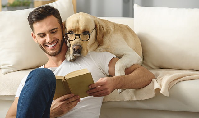 man sitting on floor reading while dog sits on couch, looking over his shoulder with glasses on