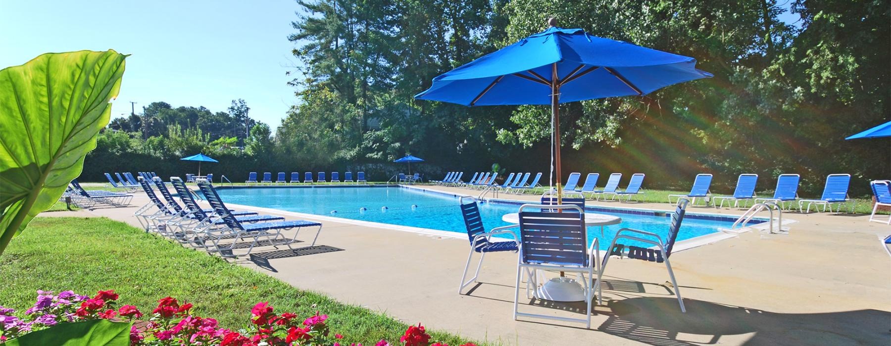 chairs and umbrellas by a pool
